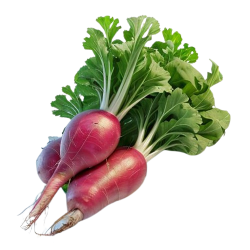 radish