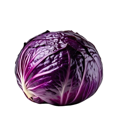 red cabbage