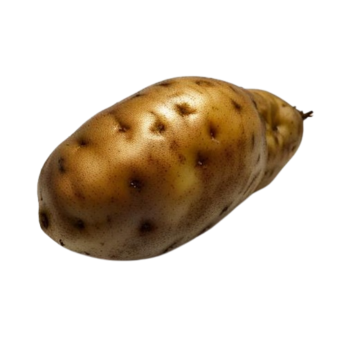 russet potatoes potatoes