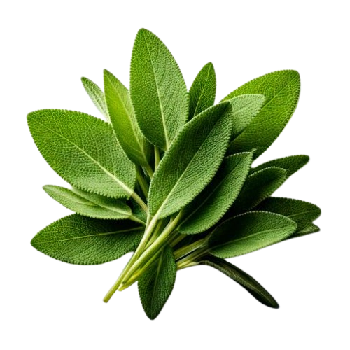 dried sage