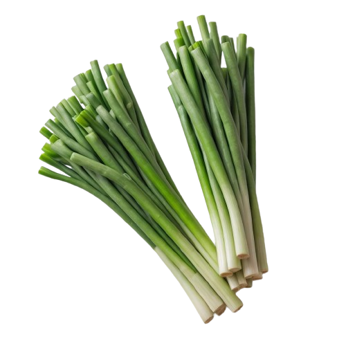 fresh scallions