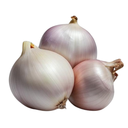 shallot