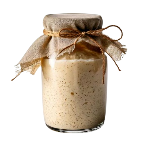 sourdough starter