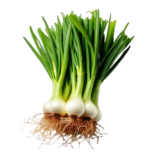 Spring onions