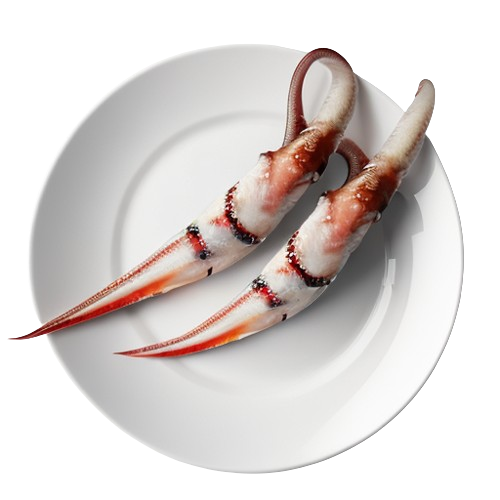 calamari