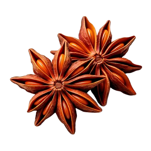 star anise pods