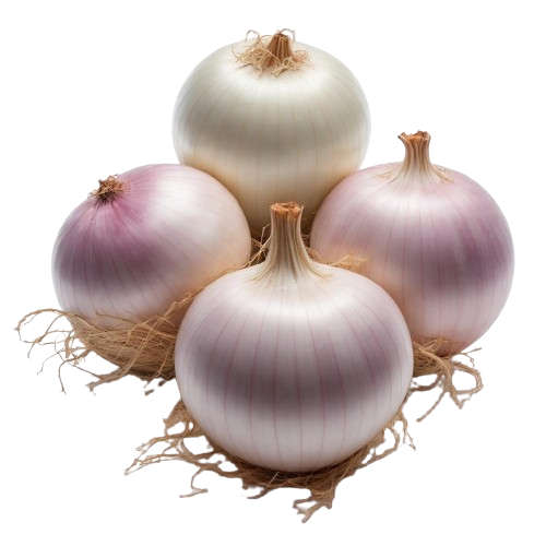 sweet onion