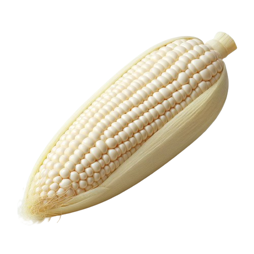 frozen shoe peg white corn
