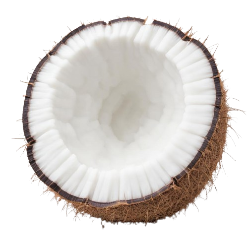 coconut flakes
