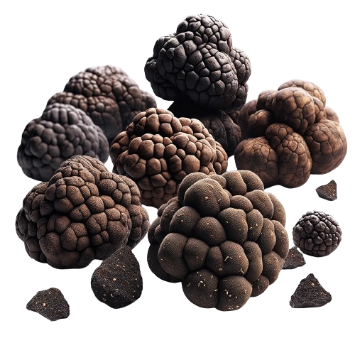 Fresh truffle shavings