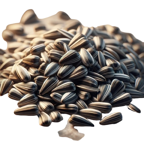 Unsalted sunflower seeds