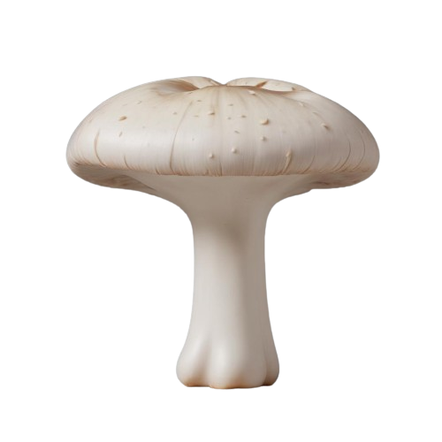 white mushrooms
