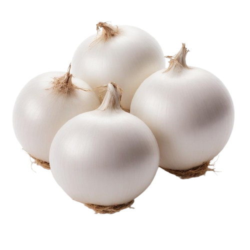 white onion