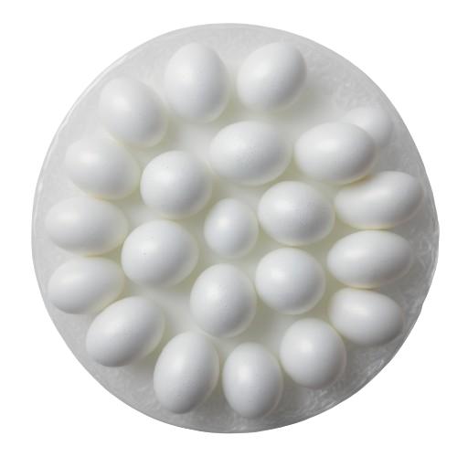 eggs