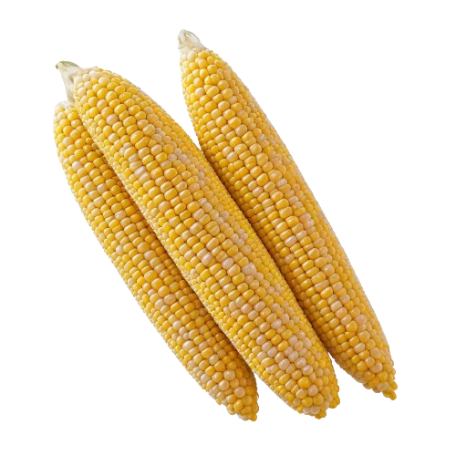 Frozen corn