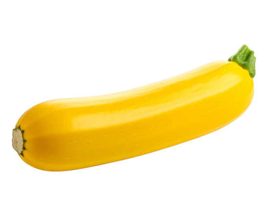 yellow crooked neck squash